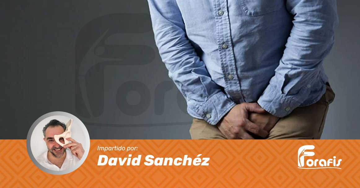 Abordaje Manual en las Disfunciones Perineales Masculinas