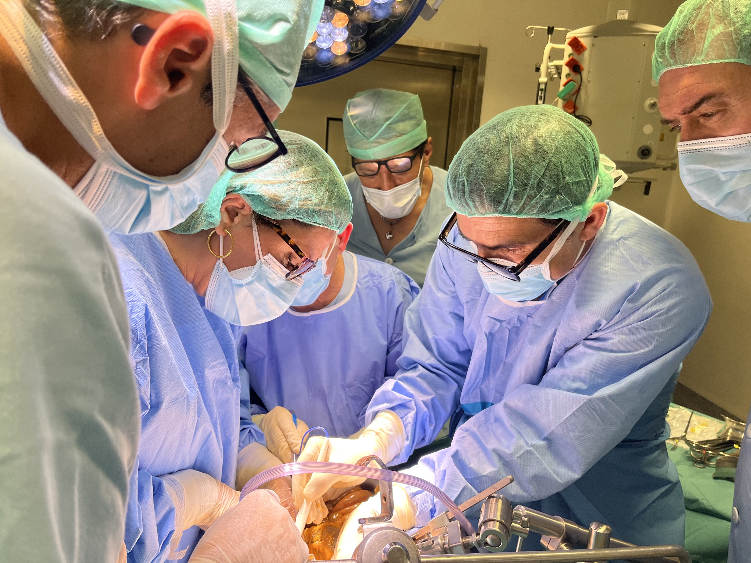 Disección Anatomica y  procedimientos Intervencionistas del Suelo Pélvico